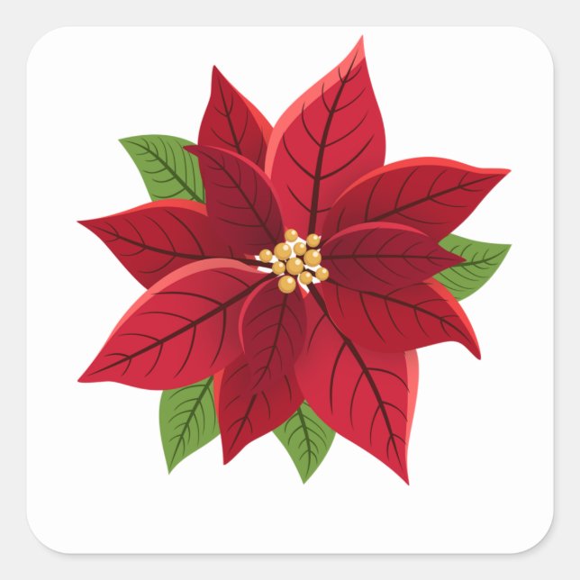 Christmas Poinsettia   Square Sticker (Front)