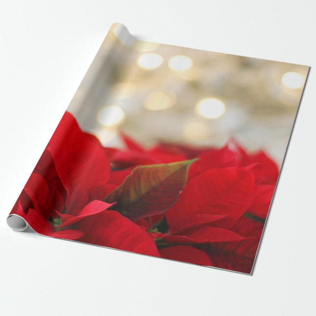 Christmas Poinsettia Wrapping Paper (Unrolled)