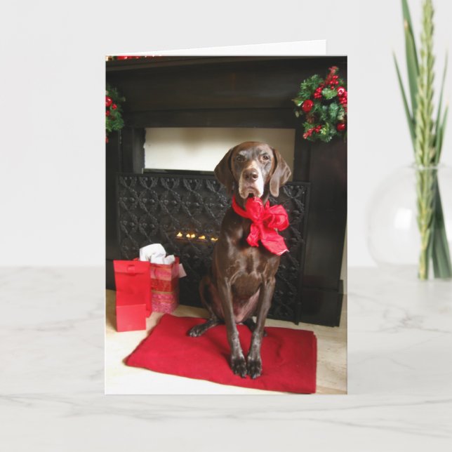 christmas pointer holiday card (Front)