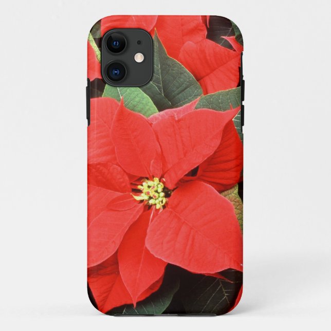 Christmas Pointsettia iPhone 5 Case (Back)