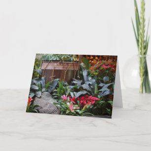 Christmas Polynesian Drum Holiday Card