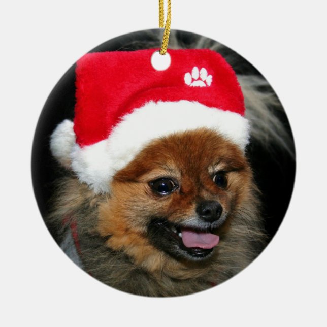Christmas Pomeranian ornament (Front)