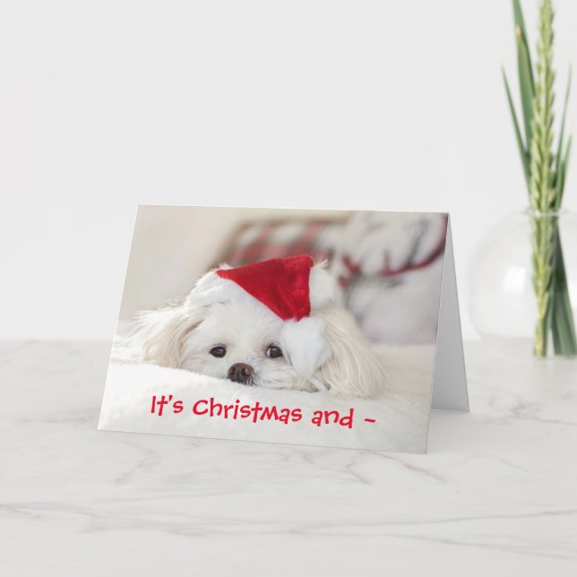 CHRISTMAS POOCH MISS YOU CARD (Front)
