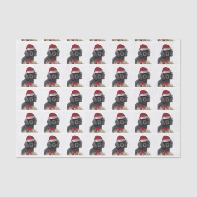 Christmas Poodle dog tissue paper (Front)