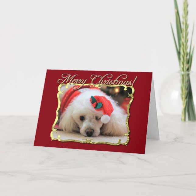 Christmas poodle greeting card (Front)