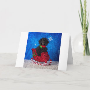 Christmas Poodle Holiday Card
