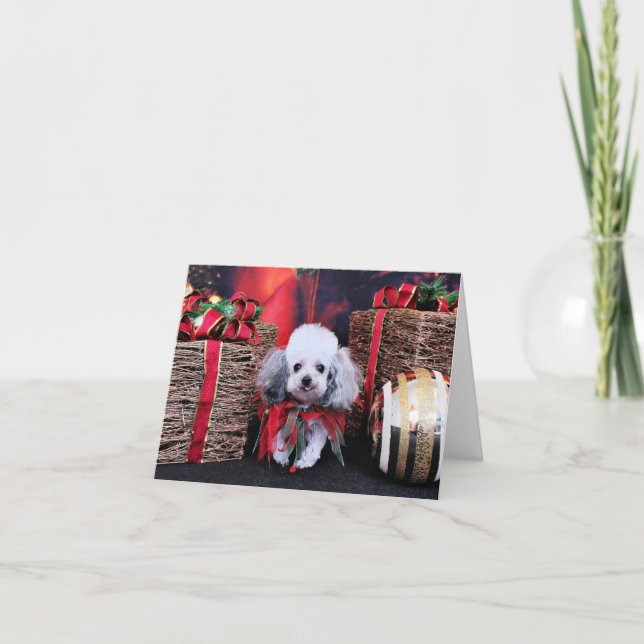 Christmas - Poodle - Lilly Holiday Card (Front)