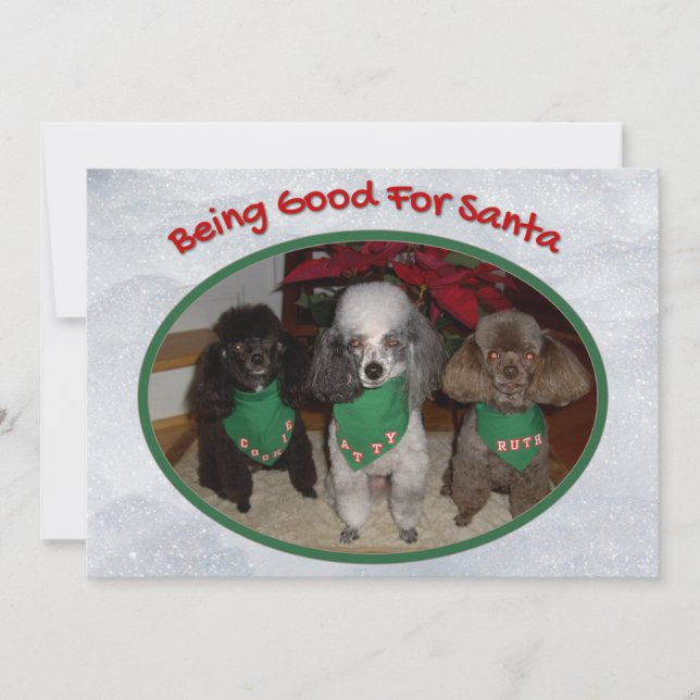 Christmas Poodles Being Good For Santa Holiday Card (Front)