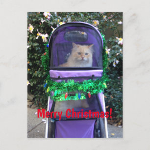 Christmas postcard