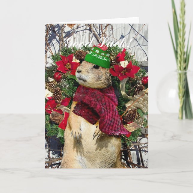 Christmas  Prairie Dog Holiday Card (Front)