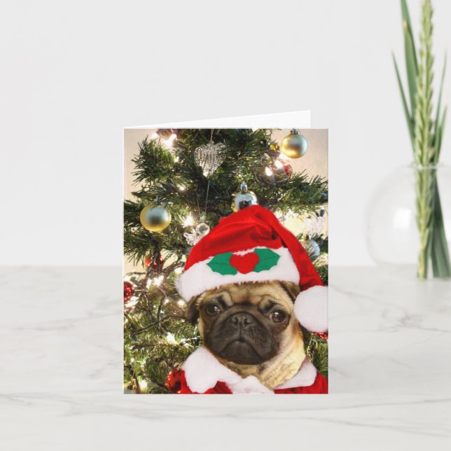 Christmas Pug dog Holiday Card (Front)
