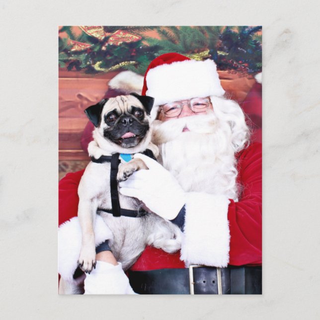 Christmas - Pug - Harvey Holiday Postcard (Front)