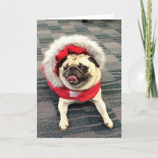 Christmas Pug Holiday Card (Front)