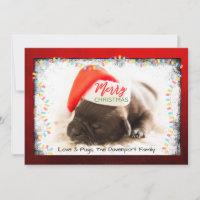 Christmas Pug in Santa Hat with Christmas Lights