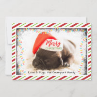 Christmas Pug in Santa Hat with Christmas Lights