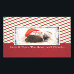 Christmas Pug in Santa Hat with Christmas Lights Rectangular Sticker<br><div class="desc">A festive sticker with an adorable photo of a pug puppy sleeping while wearing a santa hat. Merry Christmas is written on the band of his hat, in a trendy handwritten font. A grunge border with colourful Christmas lights surround the frame of this cute photo. The background is a festive...</div>
