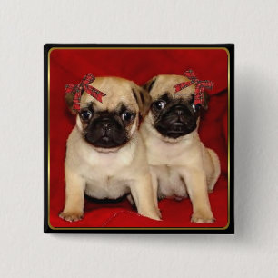 Christmas pug puppies 15 cm square badge
