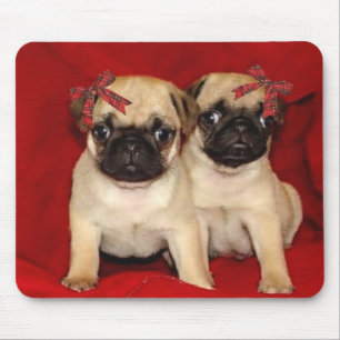 Christmas pug puppies mouse pad
