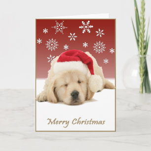 Christmas Pup Holiday Card