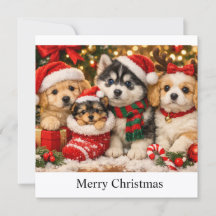 Christmas Puppies