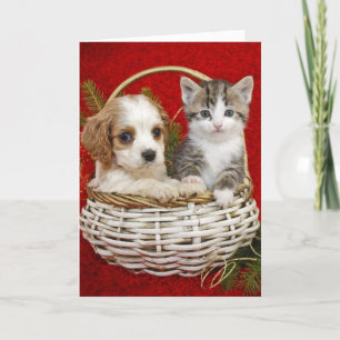 Christmas puppy and kitten in basket together holiday card