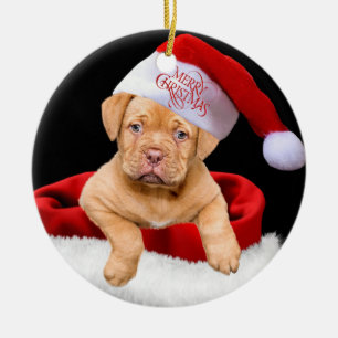 Christmas Puppy Ceramic Tree Decoration