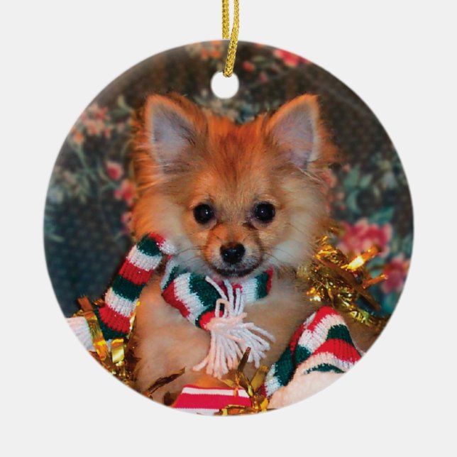 Christmas Puppy Ceramic Tree Decoration (Front)