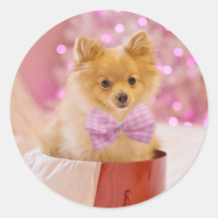 Christmas Puppy Classic Round Sticker