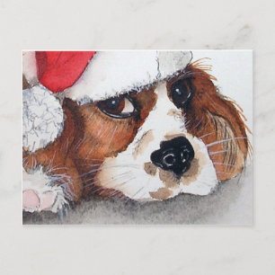 Christmas Puppy Dog postcard. Postcard