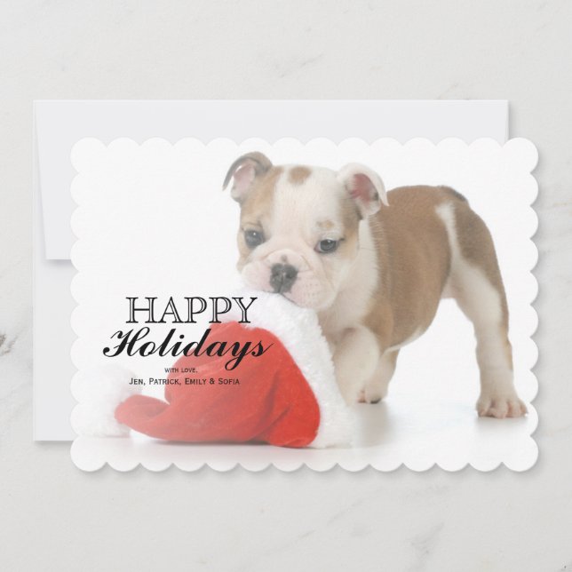 Christmas Puppy - English Bulldog Puppy Holiday Card (Front)