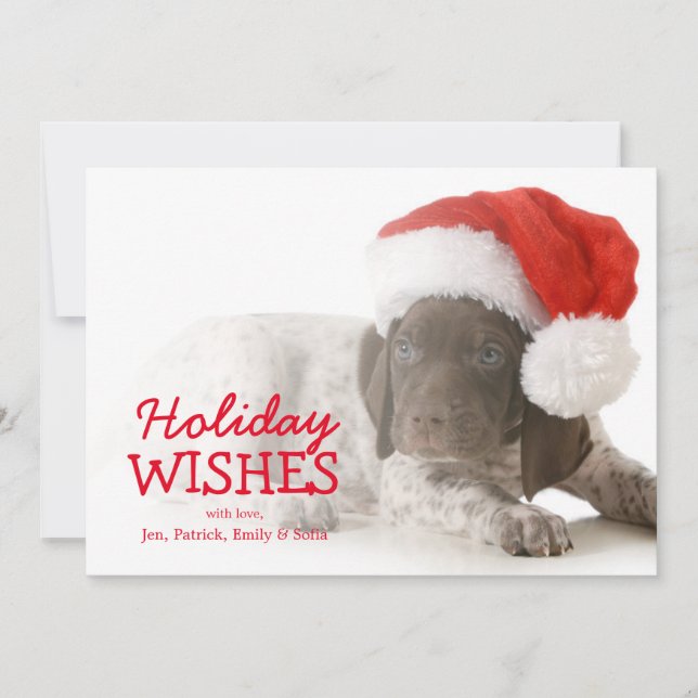 Christmas Puppy - German Shorthaired Pointer Holiday Card (Front)