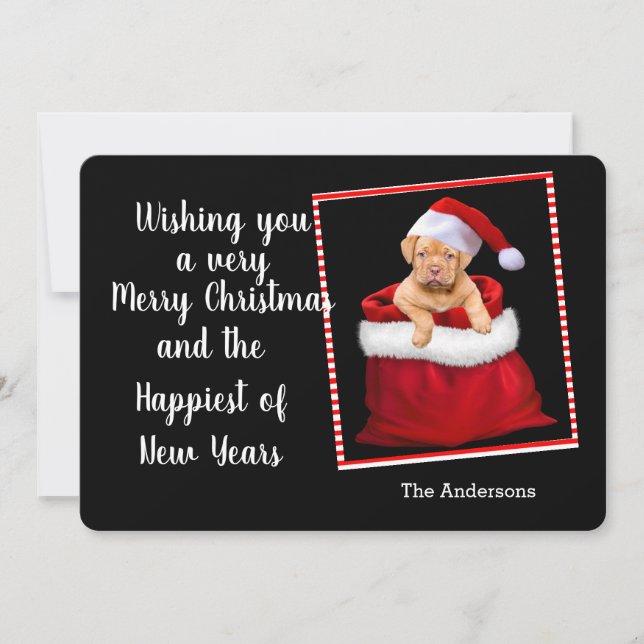 Christmas Puppy Holiday Card (Front)