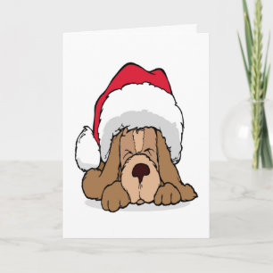 Christmas Puppy Santa Claus Hat Cute Dog Xmas Holiday Card
