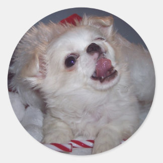 Christmas Puppy Stickers