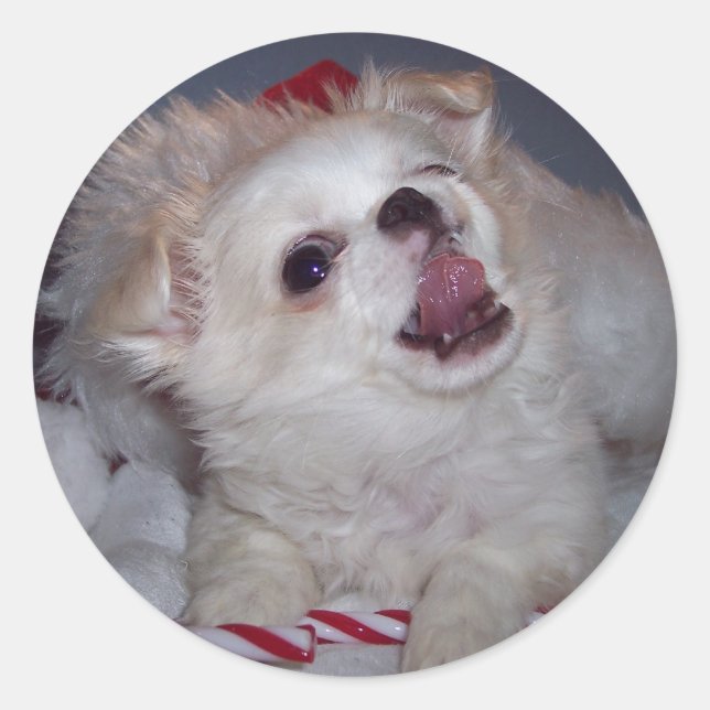 Christmas Puppy Stickers (Front)