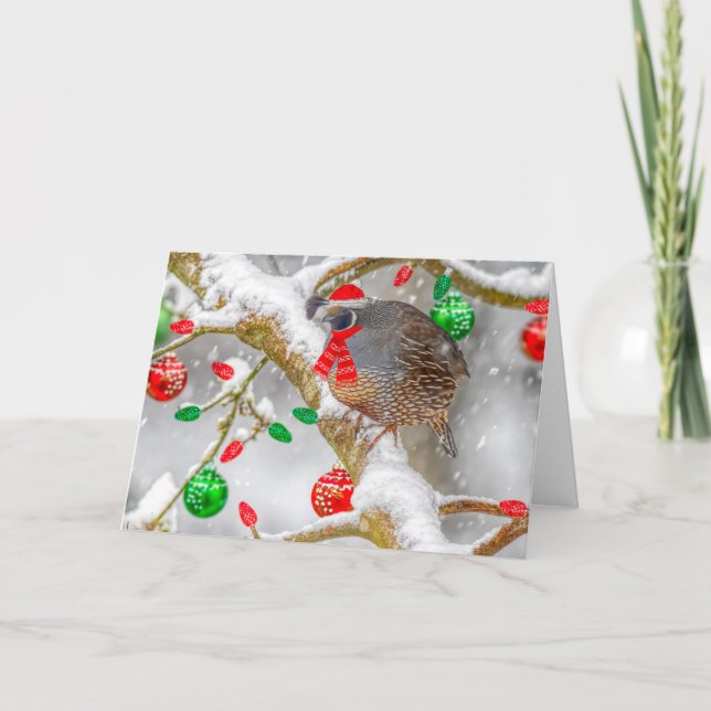 Christmas Quail  Holiday Card (Front)