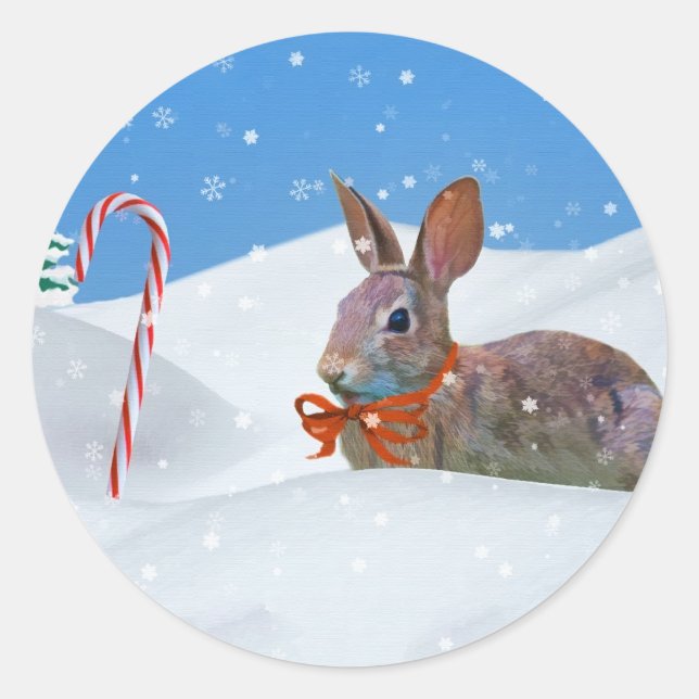 Christmas, Rabbit, Snow, Candy Canes Classic Round Sticker (Front)