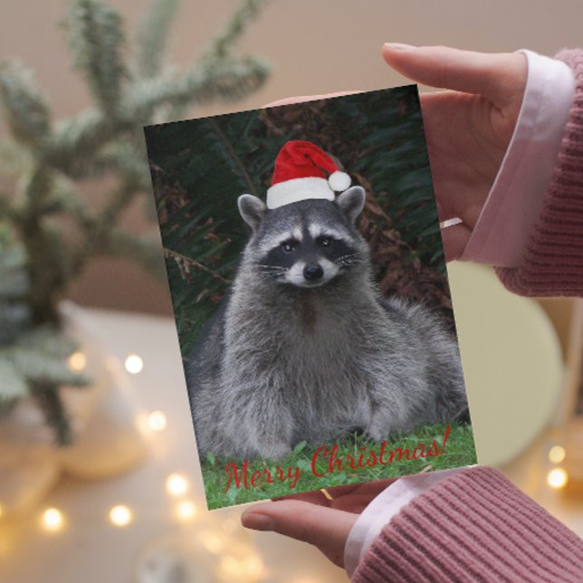 Christmas Raccoon in Santa Hat Photo Holiday Card (In Situ)