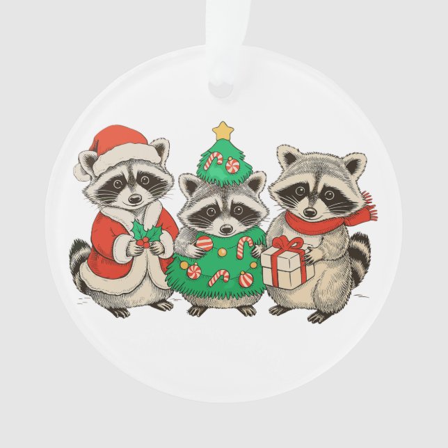 Christmas Racoon Santa Hat Tree Xmas Lights Ornament (Front)