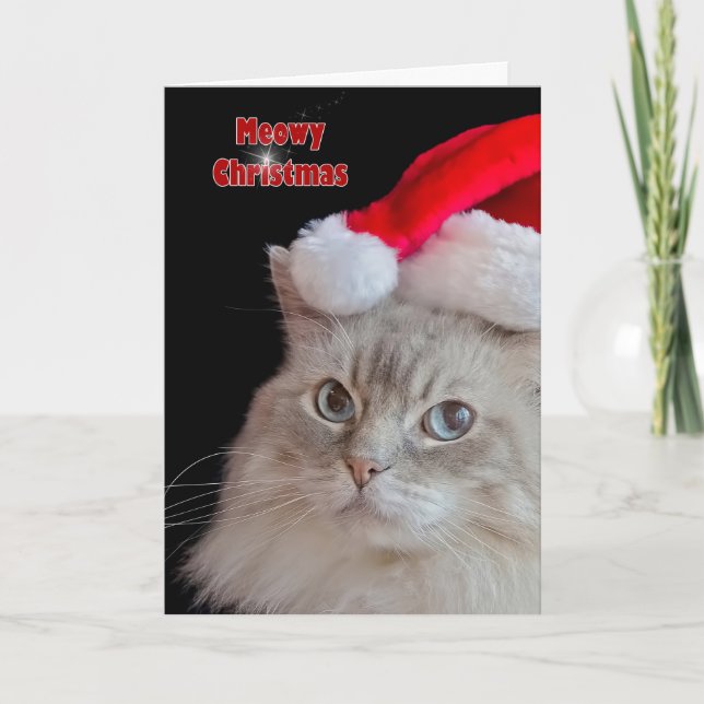 Christmas Ragdoll Cat Holiday Card (Front)