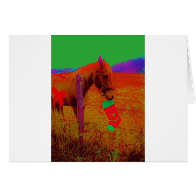 Christmas Rainbow Horse (Front Horizontal)