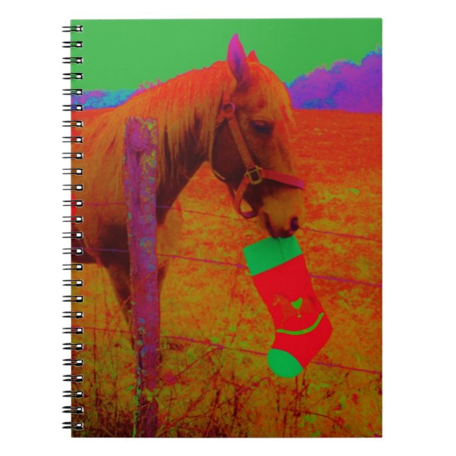 Christmas Rainbow Horse Spiral Notebook (Front)