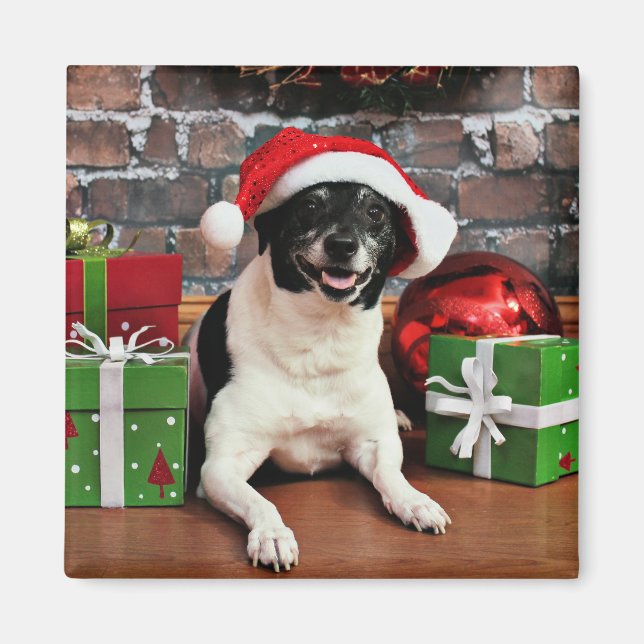 Christmas - Rat Terrier - Sparky Magnet (Front)