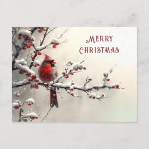 Christmas Red Cardinal Holiday Postcard