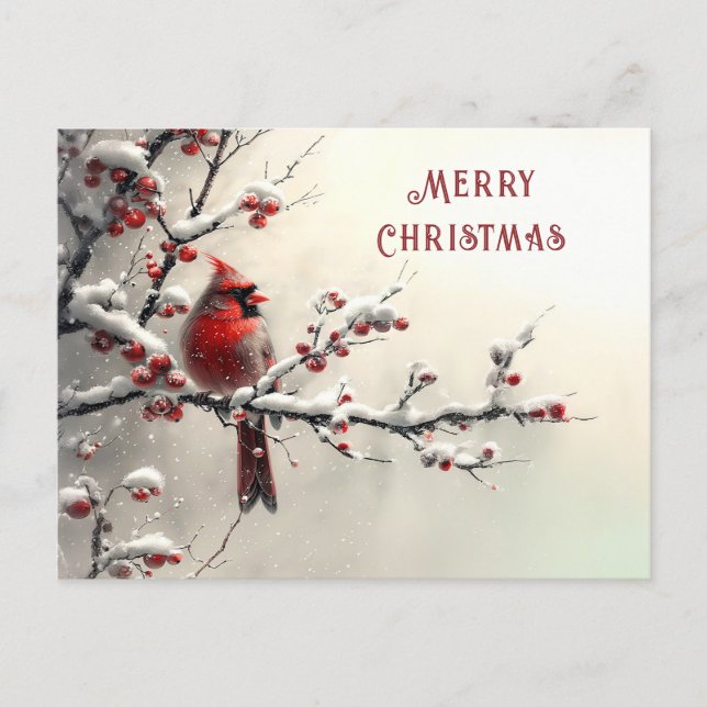 Christmas Red Cardinal Holiday Postcard (Front)
