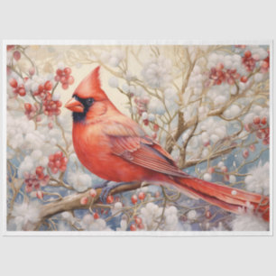 Christmas Red Cardinal Tissue Paper