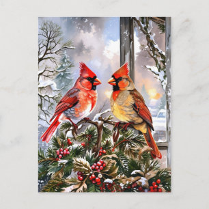 Christmas Red Cardinals Winter Illustration Holiday Postcard