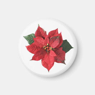 Christmas Red Poinsettia Magnet
