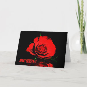 Christmas Red Rose Holiday Card
