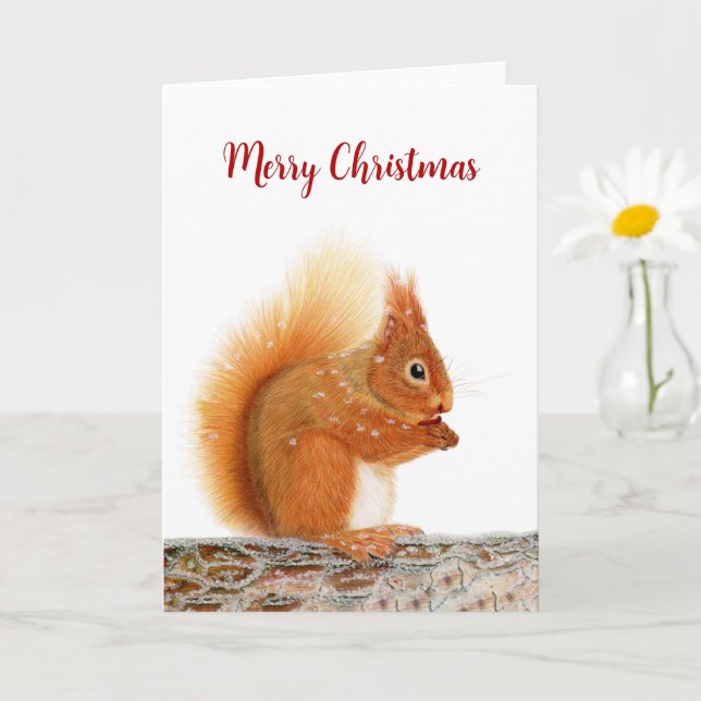 Christmas Red Squirrel Card (Small Plant)